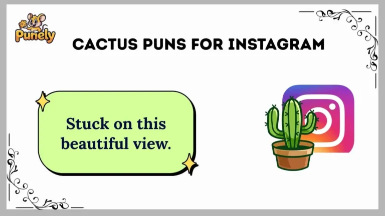 cactus puns for instagram