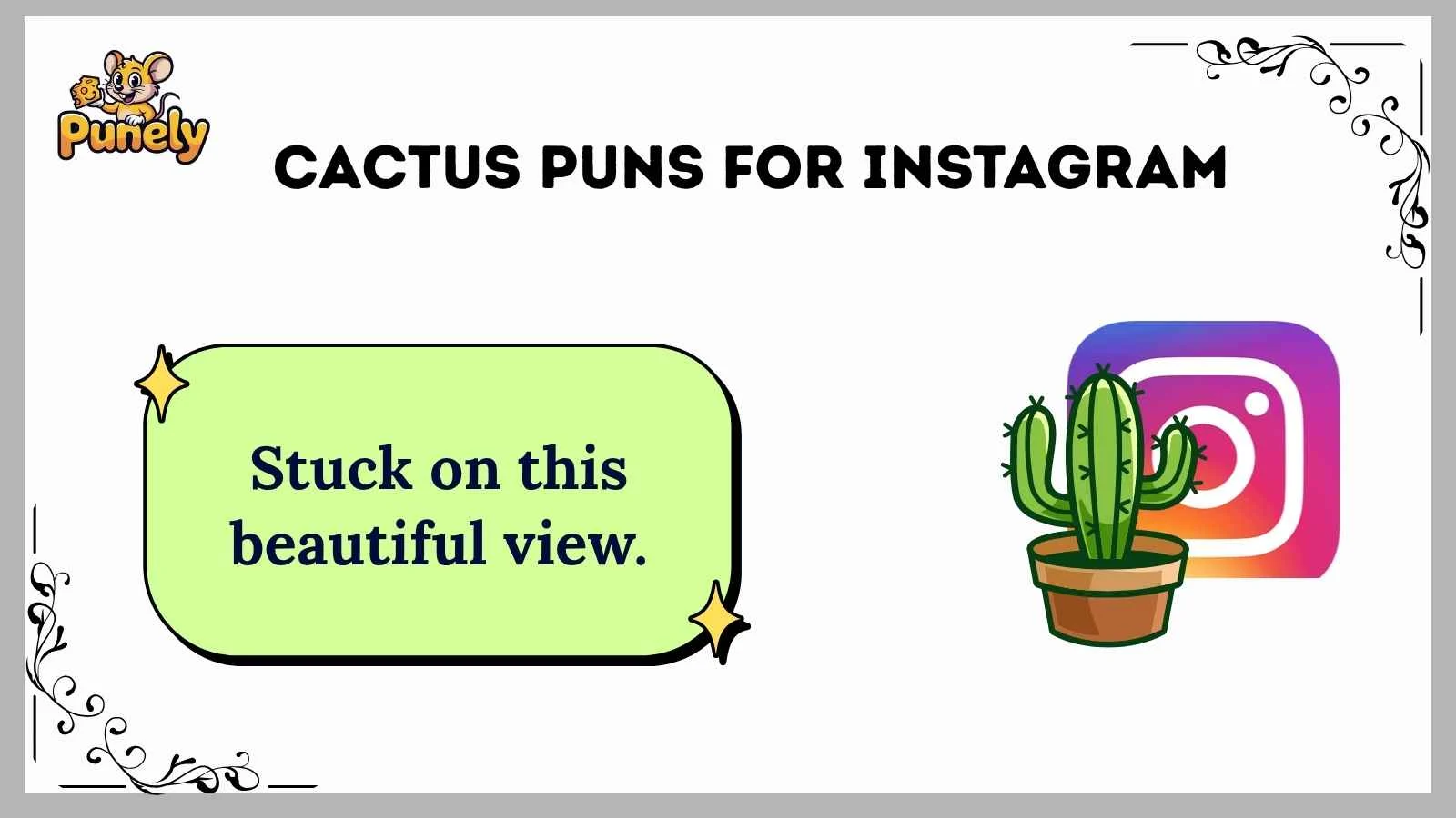cactus puns for instagram