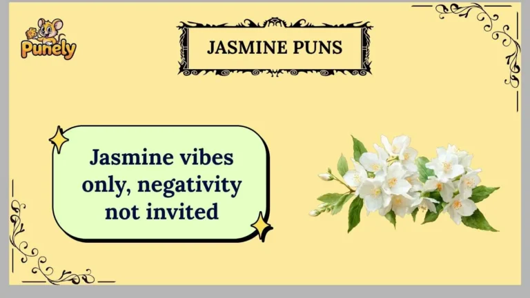 jasmine puns