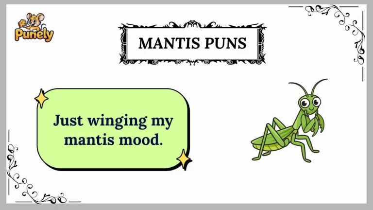 mantis puns