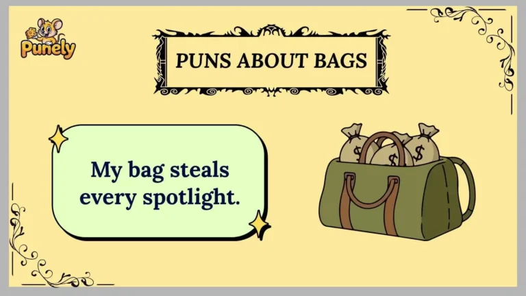 puns about bags