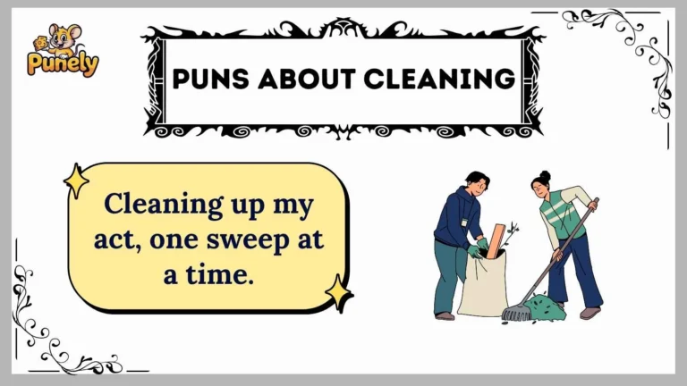 puns about cleaning